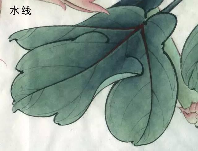 國(guó)畫(huà)工筆花鳥(niǎo)畫(huà)手法技巧-水線