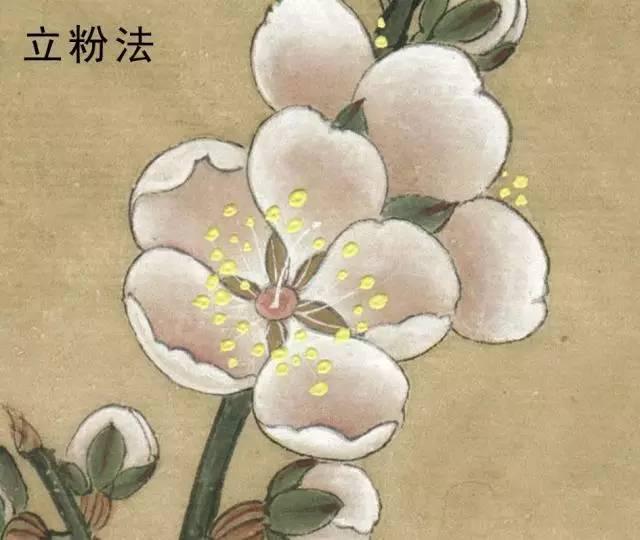 國(guó)畫(huà)工筆花鳥(niǎo)畫(huà)手法技巧-立粉法