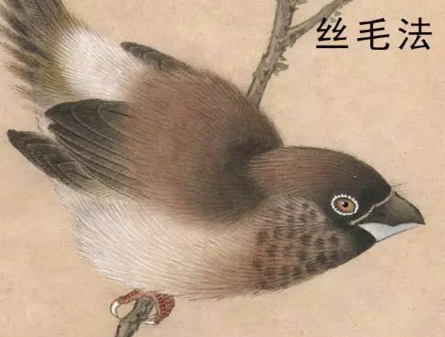 國(guó)畫(huà)工筆花鳥(niǎo)畫(huà)手法技巧-絲毛法