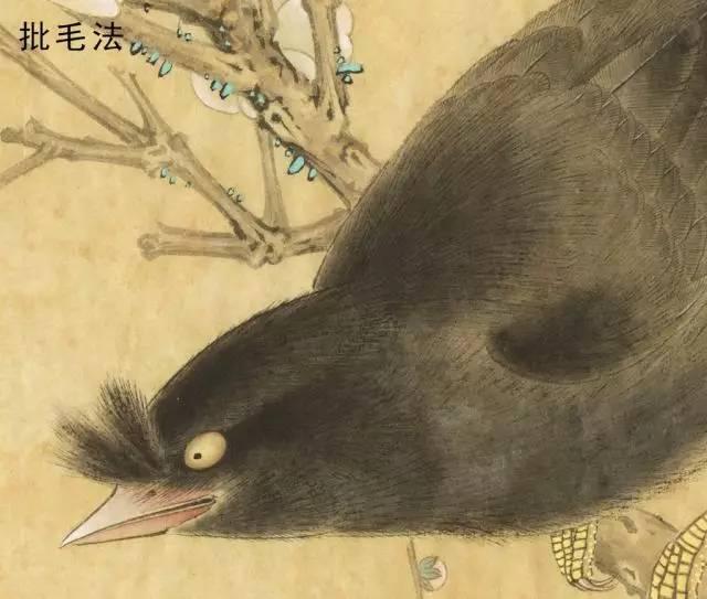 國(guó)畫(huà)工筆花鳥(niǎo)畫(huà)手法技巧-批毛法