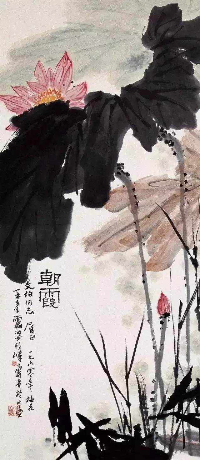 國畫大師潘天壽 荷花作品欣賞