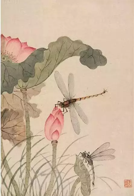 清代國畫大師陳書 荷花作品欣賞