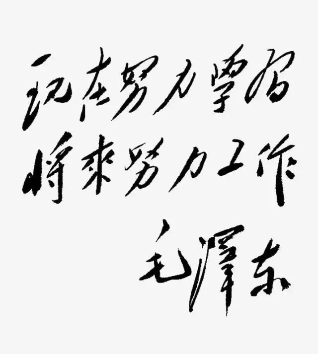毛澤東書法：現(xiàn)在努力學(xué)習(xí)，將來努力工作