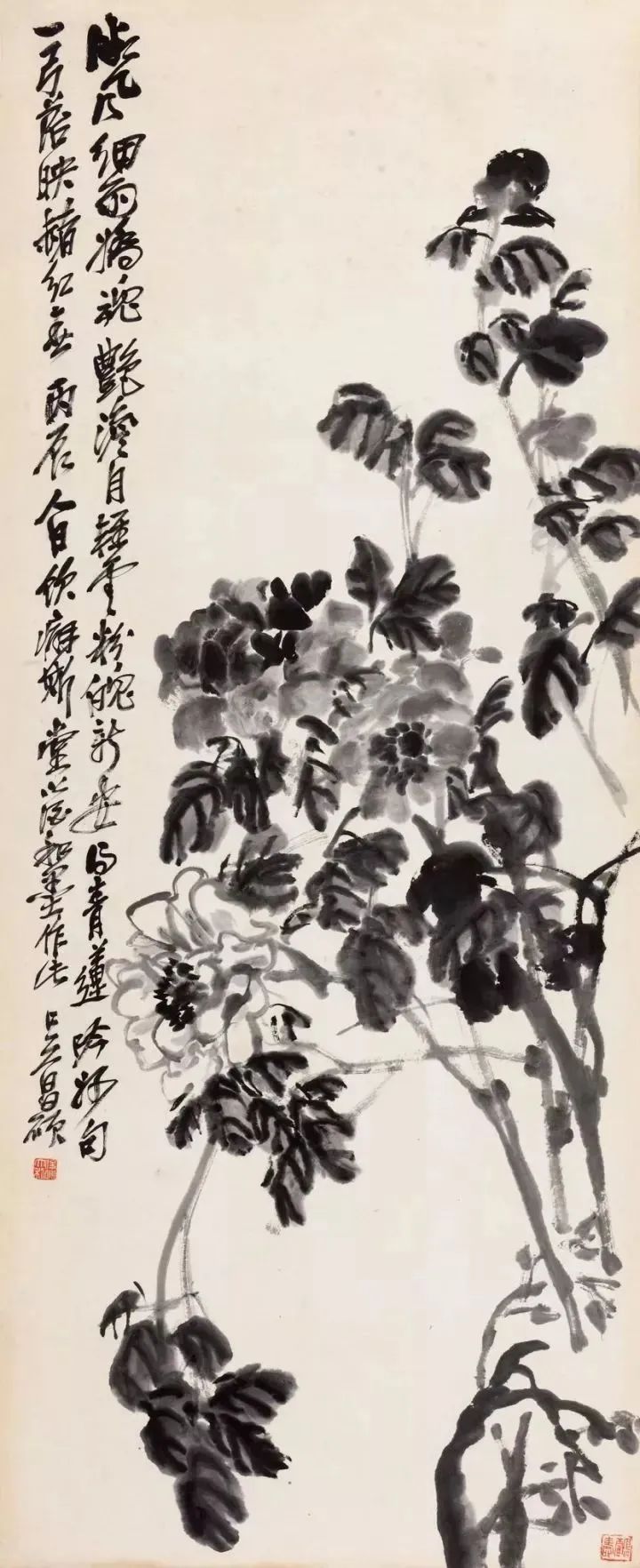 吳昌碩花卉作品欣賞